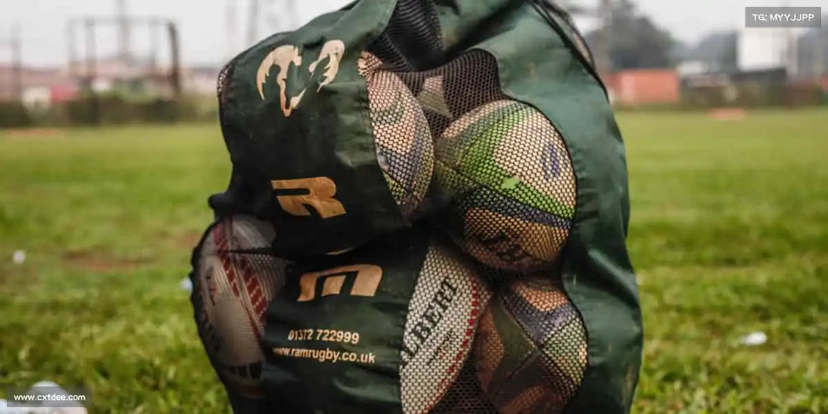 我们的核心竞争力